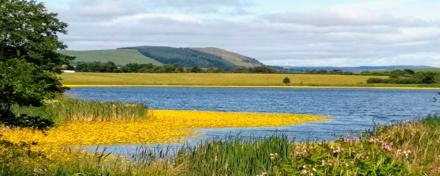 Mill Loch