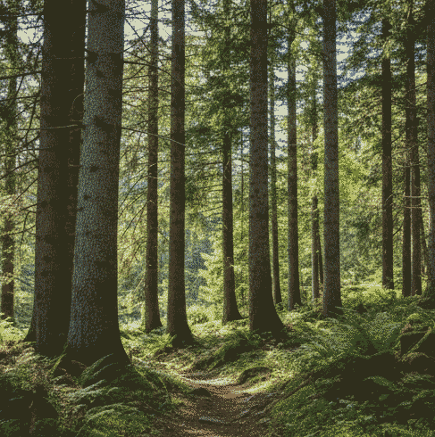 Get out and walk about